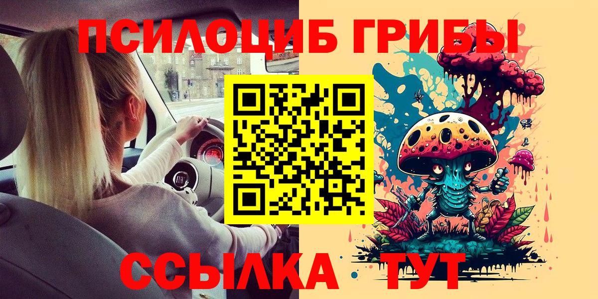 Полысаево  Галлюциногенные грибы GOLDEN TEACHER  Вход с VPN 